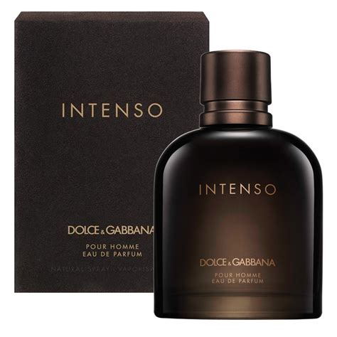 pour homme dolce gabbana perfume|dolce and gabbana intenso notes.